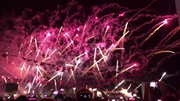 Mensen Kijken Naar Een Vuurwerk Show Bij Nacht Aan Het — Stockvideo