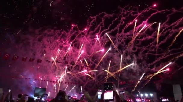 Menschen Die Nachts Ein Feuerwerk Sehen Und Mit Ihren Smartphones — Stockvideo