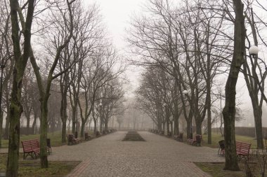 Kharkiv, Ukrayna-30 Aralık 2017 sisli gün Kharkiv Nehri Park.