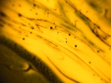 Altın renkli soyut boya arka plan doku