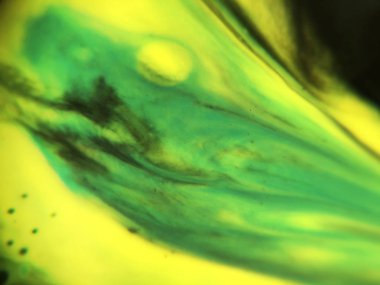 Mavi, yeşil ve sarı renkli soyut boya arka plan doku.