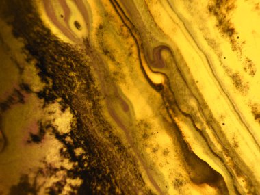 Altın renkli soyut boya arka plan doku.