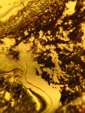 Altın renkli soyut boya arka plan doku.