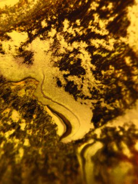 Altın renkli soyut boya arka plan doku