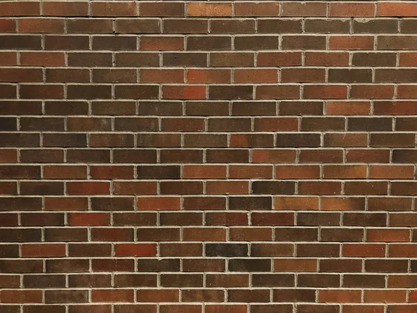 Brick Wall Textured Background — Stock Photo, Image