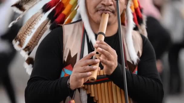 Izmir Turquia Março 2019 Índio Americano Tocando Alguns Instrumentos Sopro — Vídeo de Stock