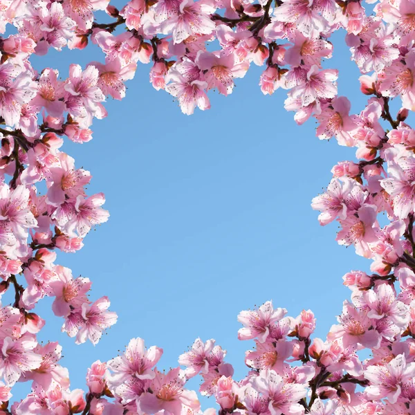 Illustration av träd blommor på en blå himmel bakgrund. — Stockfoto