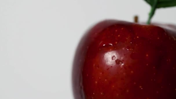 Pomme Rouge Auto Rotative Avec Une Feuille Sur Fond Blanc — Video