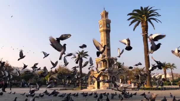 Izmir Turcja Listopada 2018 Gołębie Lecące Przed Wieżą Zegarową Izmir — Wideo stockowe