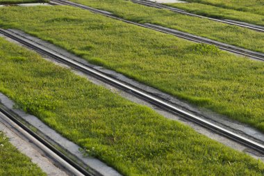 Çimenli tramvay rayları.