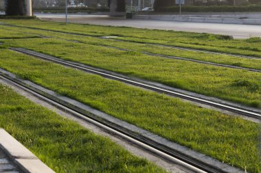 Çimenli tramvay rayları.