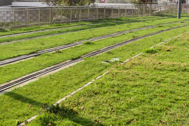 Çimenli tramvay rayları.