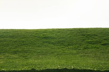 dokulu arka plan çimen.