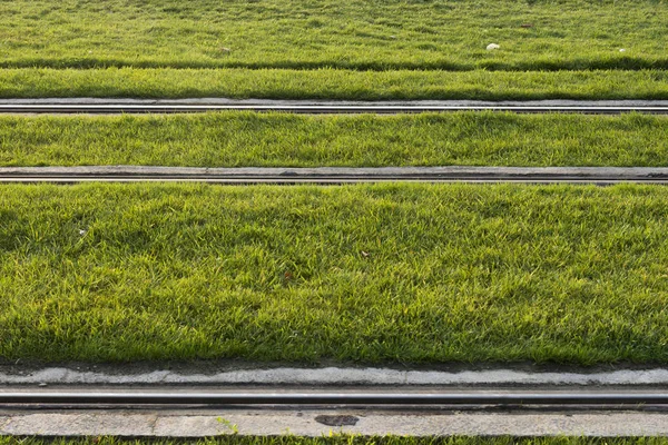 带草的电车轨. — 图库照片