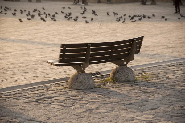 Bench in a park from behind. — Stock Photo, Image