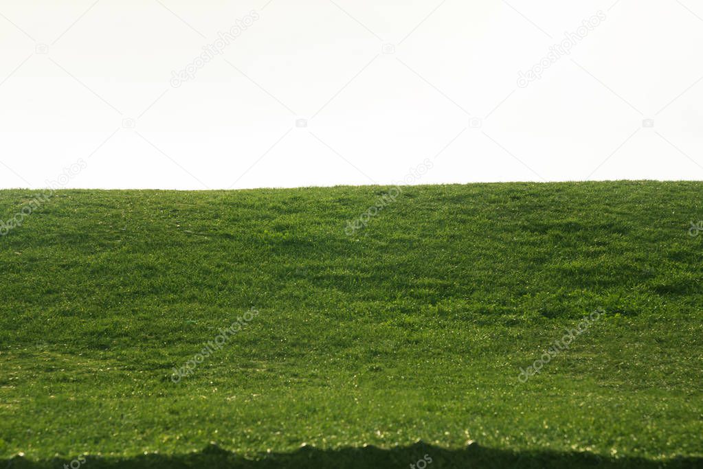 Grass textured background.