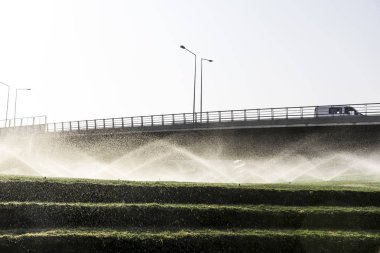 Otobanın yanındaki çimlere aktif fıskiye.