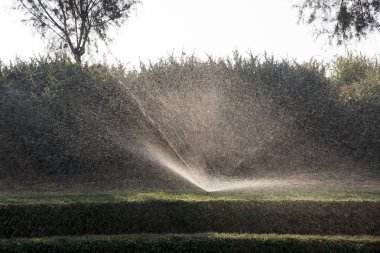 Çimlere aktif fıskiye, çeşme