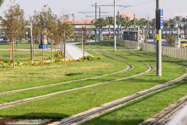 Tram rails with grass. — Stock Photo, Image