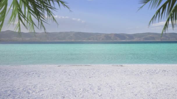 Lago Salda Con Arena Blanca Agua Verde Palma Deja Gimiendo — Vídeos de Stock