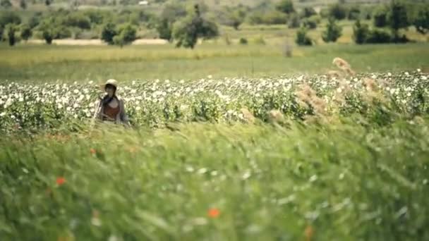 Évek Kalapot Napszemüveg Között Ópium Mák Termés Mező Egy Faluban — Stock videók