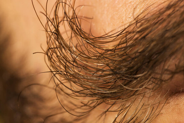 Curled, sexy and messy mustache close up with sexy lips and bear