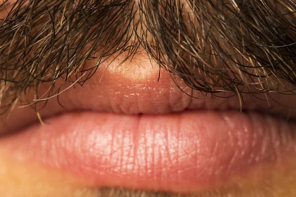 Curled, sexy and messy mustache close up with sexy lips and bear — Stock Photo, Image