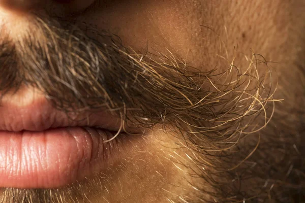 Bigode enrolado, sexy e bagunçado fechar com lábios sexy e urso — Fotografia de Stock