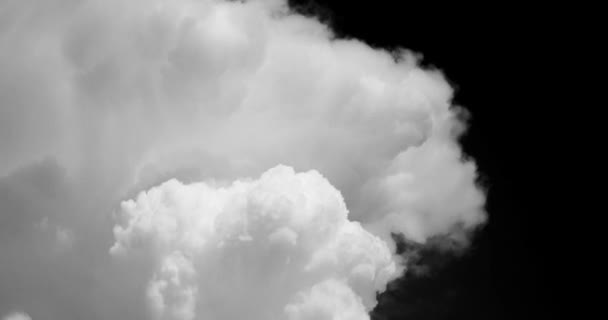 Witte Rook Zoals Wolken Een Zwarte Hemel Achtergrond Timelapse Beelden — Stockvideo