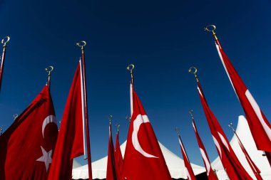 Öğrencileri taşıyan Türk bayrakları.