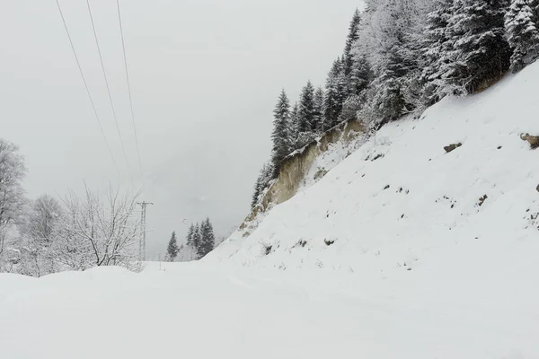 Camino nevado y pinos con nieve cerca del camino . —  Fotos de Stock