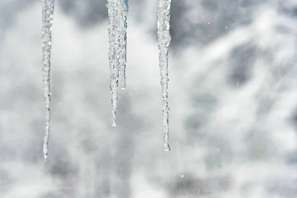 Gros plan des stalactites dans le blizzard hivernal . — Photo