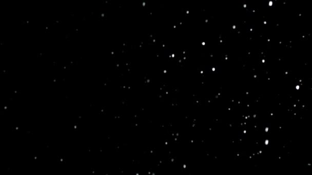 黒を背景に夜に雪が降るスローモーション映像 — ストック動画