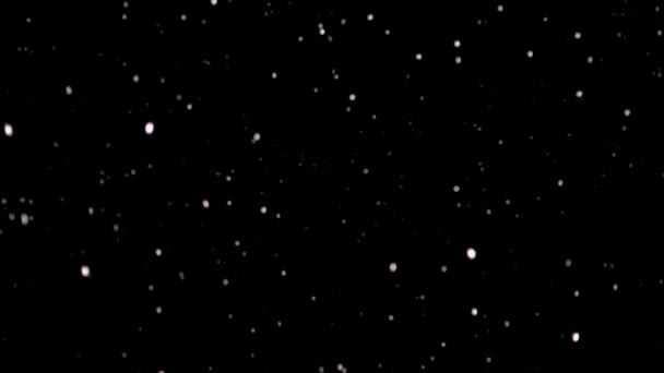 黒を背景に夜に雪が降るスローモーション映像 — ストック動画