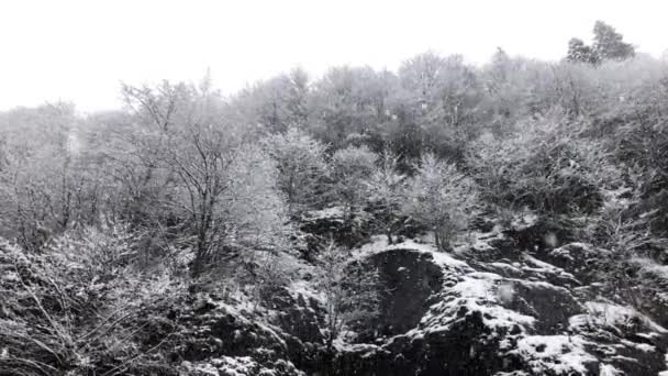 Spowolniony Ruch Śnieg Zimie Śnieżnymi Drzewami Skałami — Wideo stockowe