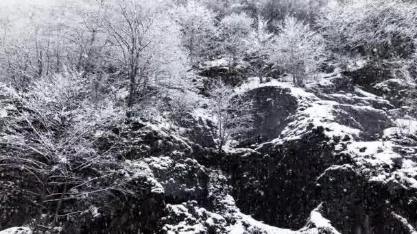 Movimento Lento Nevar Inverno Com Árvores Nevadas Rochas — Vídeo de Stock