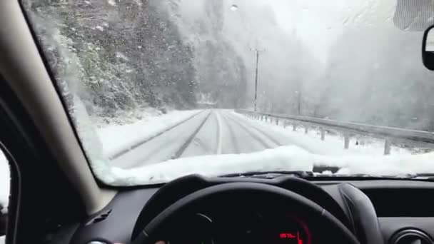 Autorijden Onder Sneeuwstorm Bij Daglicht — Stockvideo