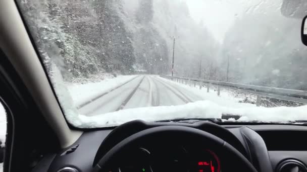 Autorijden Onder Sneeuwstorm Bij Daglicht — Stockvideo
