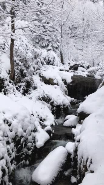 Imágenes Verticales Del Arroyo Entre Las Rocas Bajo Nieve Rize — Vídeo de stock