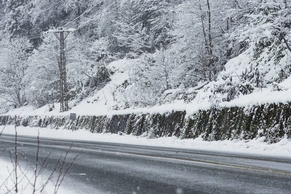 Escena nevada en invierno, con árboles nevados, rocas y asfalto — Foto de Stock