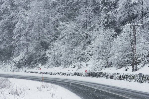 Snowy road scene in winter, with snowy trees, rocks and asphalt — Stock Photo, Image