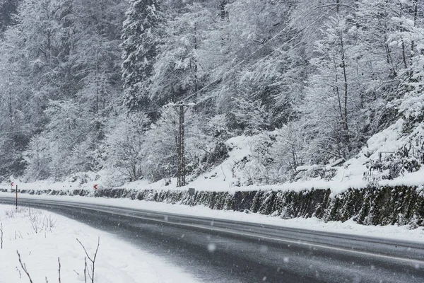 Snowy road scene in winter, with snowy trees, rocks and asphalt