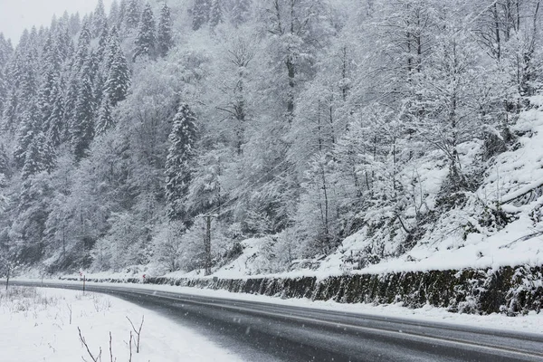Снежная сцена на дороге зимой, со снежными деревьями, скалами и асфальтом — стоковое фото