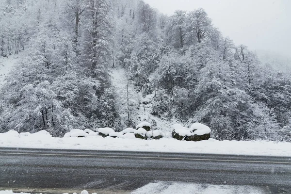 Snowy road scene in winter, with snowy trees, rocks and asphalt