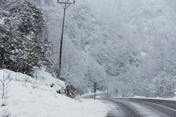 Escena nevada en invierno, con árboles nevados, rocas y asfalto — Foto de Stock