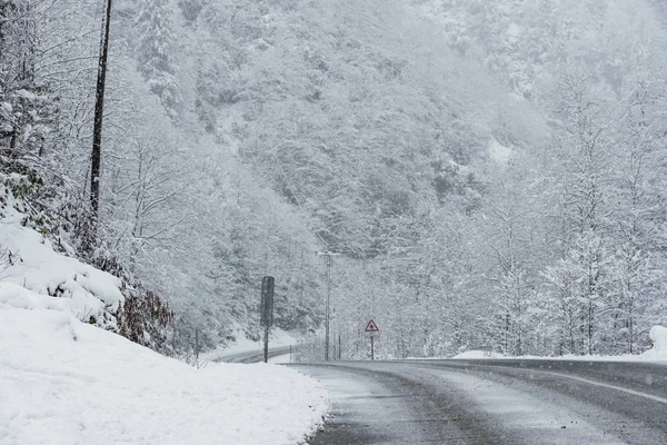 Snowy road scene in winter, with snowy trees, rocks and asphalt — Stock Photo, Image