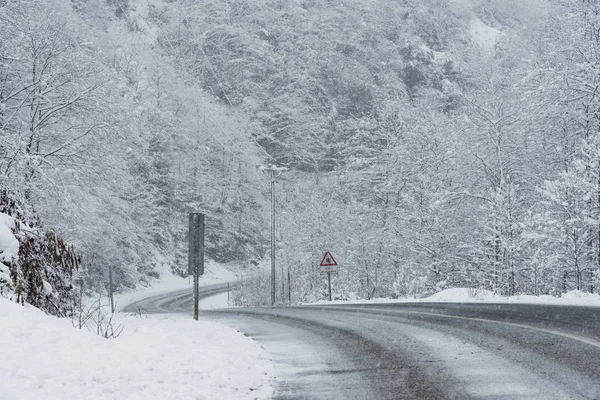 Escena nevada en invierno, con árboles nevados, rocas y asfalto — Foto de Stock