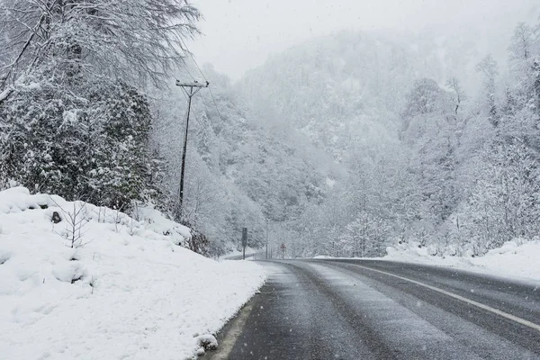 Snowy road scene in winter, with snowy trees, rocks and asphalt — Stock Photo, Image