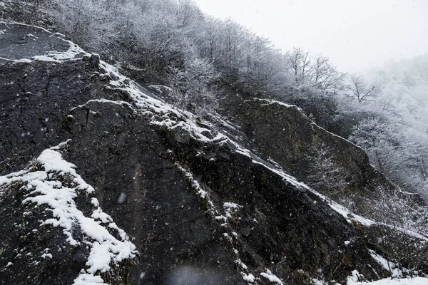 Schneelandschaft mit schneebedeckten Bäumen und Felsen. — Stockfoto