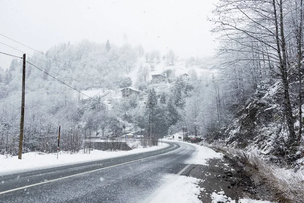 Snowy road scene in winter, with snowy trees, rocks and asphalt — Stock Photo, Image